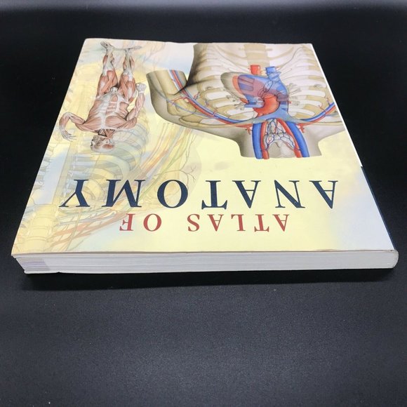 Atlas of Human Anatomy (2006, Trade Paperback, Reprint) - Picture 6 of 12